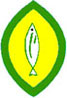 Fish Fish